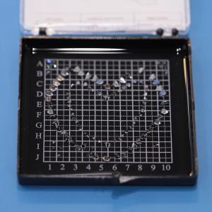 Micro Right-Angle Roof Prism (Amici Prism) — 1.4 mm